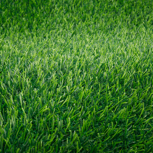 Césped <span class=keywords><strong>artificial</strong></span> personalizado al aire libre para mejorar su espacio al aire libre - Product Image 1