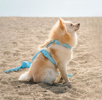 Harnais pour chien en silicone, PVC et polyester, imperméable, réglable, facile à nettoyer, avec logo personnalisé, vente chaude du fabricant