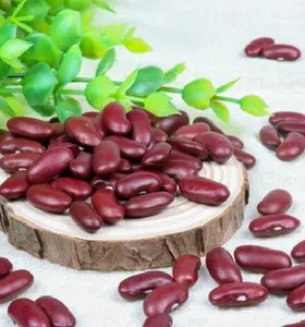 China produces high-quality dark red kidney beans, and the latest production of red kidney beans