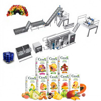 Volledig automatische drankenverwerkingsmachines voor blikjes, ondersteund door ISO 9001/CE, OEM en ODM.