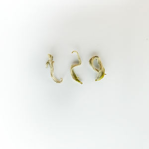 Biologische Biluochun-Thee-In Het Wild Gekweekt Meer dan 1200 Meter, Met Een Honingaroma Van Perzikbloesem. Groothandel Fabriek Direct. - Product Image 4