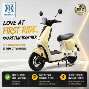 Scooter Eléctrico Urbano de 350W 48V con Batería de Plomo-Ácido de 20AH, Largo Alcance, 25km/h, Motor de Alta Potencia de 350W, Frenos de Tambor Dobles, Ideal para Desplazamientos Urbanos - Product Image 1