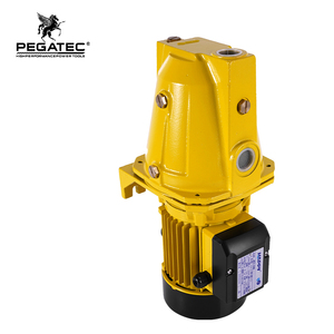 Pompe à jet PEGATEC 1000W 1HP 220V avec moteur en cuivre pur, hauteur de refoulement 50m, <span class=keywords><strong>d</strong></span>ébit 45L/min pour l'alimentation en <span class=keywords><strong>eau</strong></span> domestique et le jardinage - Product Image 2