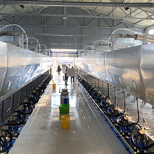 Fully Automatic Cow Goat Milking Parlor, Modern Parlor, Rapid Exit для Sale, Parlor