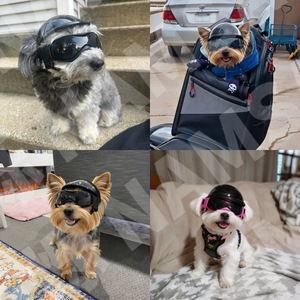 Casque de moto pour animaux de compagnie avec lunettes de protection pour chiens et chats, équipement de sécurité pour la conduite en plein air, accessoires pour petits animaux, en plastique durable, rond - Product Image 4