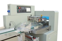 Sac horizontal pour machine d'emballage automatique à économie d'énergie pour les applications alimentaires et chimiques