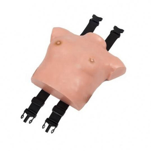 Modello avanzato di esame del seno femminile in PVC manichino anatomico <span class=keywords><strong>scienze</strong></span> mediche di <span class=keywords><strong>formazione</strong></span> scuole mediche altre scuole educative - Product Image 1