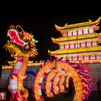 Outdoor Themenpark Dekoration Dragon Silk Festival Chinesische Neujahrs laterne für Event Show