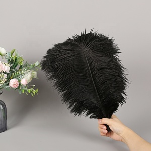 Bán buôn trực tiếp từ nhà máy lông đà điểu nhuộm màu 40-45cm, nhiều màu sắc, dùng cho trang trí tiệc, đèn, thủ công, tường, đám cưới - Product Image 2