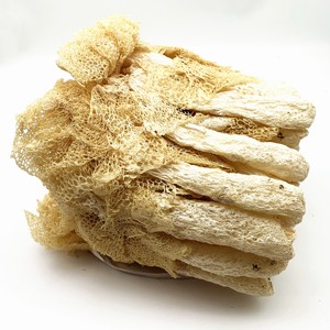 Jamur Bambu Kering Phallus Impudicus Alami Pilihan & ZhuSun - Product Image 4