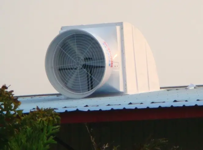 Вытяжной вентилятор на крышу/вытяжной вентилятор на крышу из ФАП