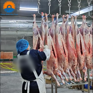 Polea rodante para matadero de ovejas con ganchos para colgar cadáveres, maquinaria de componente central de alta resistencia para mataderos de cabras - Product Image 3