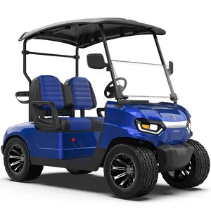 Factory Buggy Golfcarts con acelerador de pie 2 asientos Coche 2 plazas Carrito de golf Chino Eléctrico CE 48V 3M Kit Luces Club Car Tempo