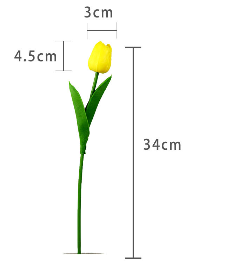 Dessin de dimensions