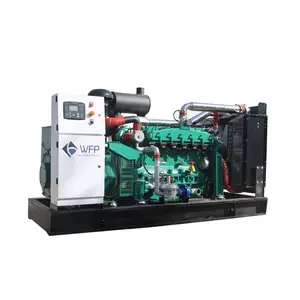 Biogas Engine Electric Generator Set Price 50kw 60kw 70kw 80kw for Bio Gas Power Plant Generation