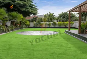 Cricket Filed Artificial Grass Indoor And Outdoor Cricket Pitches Hockey Latex Sport Club