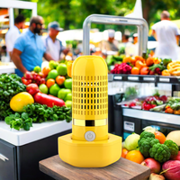 Waterdicht Staal En Roestvrij Capsule Draadloze Fruit-En Groentezuiveraar Voedselreiniger Met Oh-Ion Zuiveringstechnologie