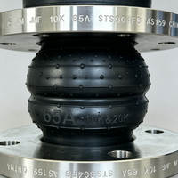 Éliminateurs de vibrations à double sphère DN200 à extrémités à brides, raccords flexibles à soufflets EPDM, joints de dilatation en acier inoxydable forgé