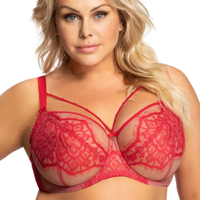 Soutien-Gorge Grande Taille Oem Afrique Rouge Galbé à Armatures Haute Qualité Bonnet Complet avec Décoration Cordon, Soutien-Gorge Transparent pour Femme Grande Taille