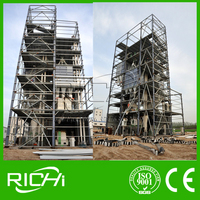 RICHI-le meilleur fabricant d'équipement de granule de l'usine de machines de granule de l'alimentation 10 T/H dans le Henan