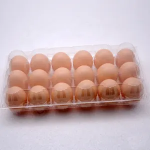 Contenitori per uova incernierati trasparenti contenitori per uova in plastica trasparente per animali domestici 6,8,10,12,15,24,30 fori vassoi per uova