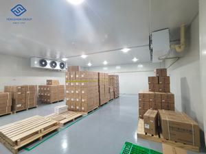 Chambre froide modulaire de viande et pièce de congélateur avec des machines de réfrigération pour le poulet et le poisson - Product Image 2