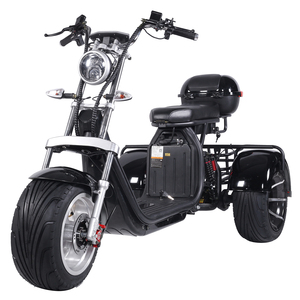 Scooter électrique à 3 roues longue portée 2000W 3000W, tricycle Citycoco Chopper certifié EEC COC, moto électrique 3 roues COC 3000w - Product Image 1