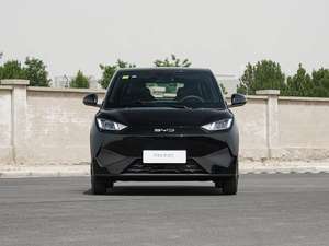 <span class=keywords><strong>Voiture</strong></span> électrique 2025, véhicule électrique compact, édition Vitality, 4 places, haute performance, <span class=keywords><strong>voiture</strong></span> citadine EV, 305km, en stock - Product Image 2