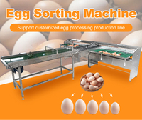 Peseuse d'oeufs numérique de précision Machine de classement automatique d'oeufs de ferme avicole commerciale à grande échelle Machine de tri d'oeufs