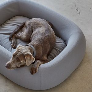 Hundebett aus Memory-Schaum: Orthopädische Entlastung und Komfort für alle Rassen und Größen Rundes Hundebett - Product Image 3