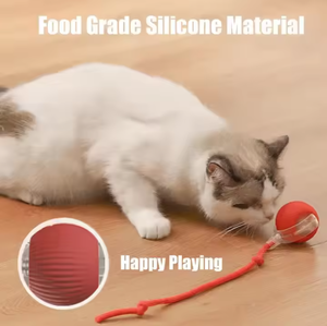 Fabrika akıllı Pet oyuncak 360 ° akıllı otomatik interaktif köpek akıllı top oyuncak interaktif kedi oyuncaklar haddeleme topu USB şarjlı - Product Image 5