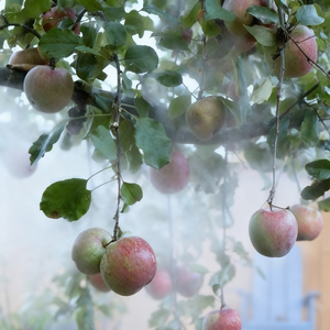 कोल्ड फॉगर कृषि स्प्रेयर कोल्ड फॉगर कृषि स्प्रेयर कोल्ड फॉग मशीन फॉग सिस्टम के लिए फॉग मशीन - Product Image 4