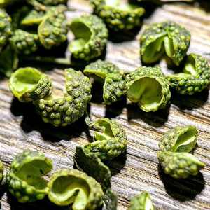 Especias <span class=keywords><strong>de</strong></span> fábrica, proveedor al por mayor, pimienta <span class=keywords><strong>de</strong></span> Sichuan, pimienta verde <span class=keywords><strong>de</strong></span> Sichuan - Product Image 6