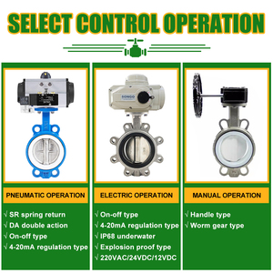 Actuador Neumático de Doble Acción con Retorno por Resorte, Tipo Línea, PTFE, DN200 DN100 PN16, 8 Pulgadas - Product Image 5