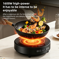 Cuisinière à induction électrique compacte 1600W avec minuteur, portable pour les voyages en plein air, norme européenne 220V/110V, modèle en anglais