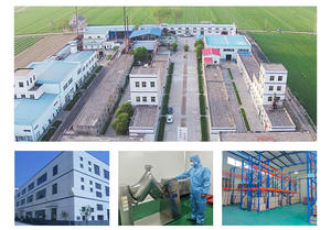 Meilleur prix <span class=keywords><strong>Coenzyme</strong></span> Q10 Capsules Vitamines Matière première Poudre Sans danger pour les nouveau-nés - Product Image 6