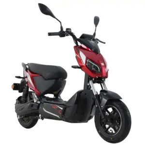 Tailg sıcak satış 72V 2000W motor spor yarış EEC kıyıcı elektrikli motosiklet yetişkinler için