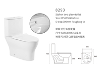 8293 américain salle de bain monté au sol en céramique placard à eau couleur blanche toilettes sanitaires lavage deux pièces ensemble de toilette