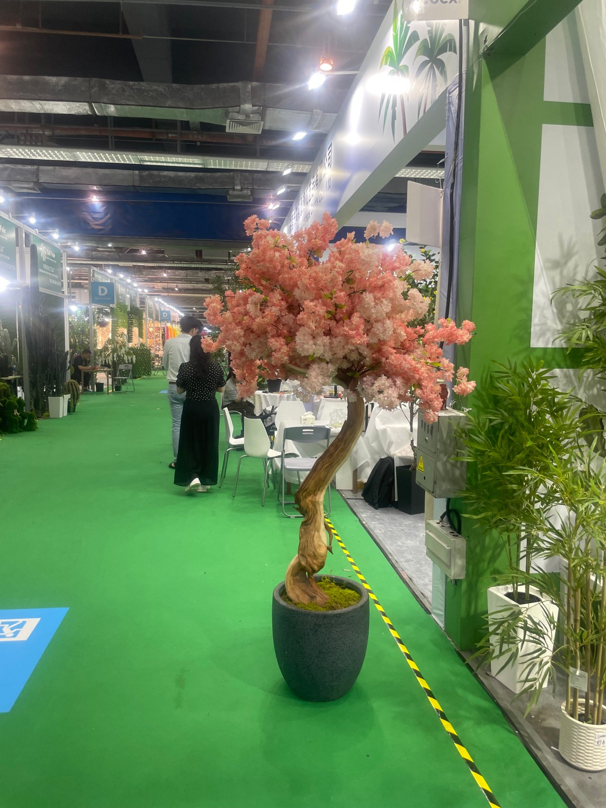 180cm véritable tronc de fleurs de cerisier arbre 1 (Pas de pot)