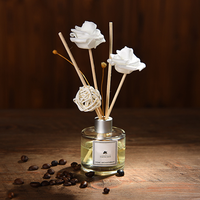 Diffuseur de Roseaux d'Huiles Essentielles à Parfum Fruité, Bouteille en Verre de 50 ML, Luxe et Sans Feu, pour Décoration d'Intérieur, Ensemble à Vente Chaude