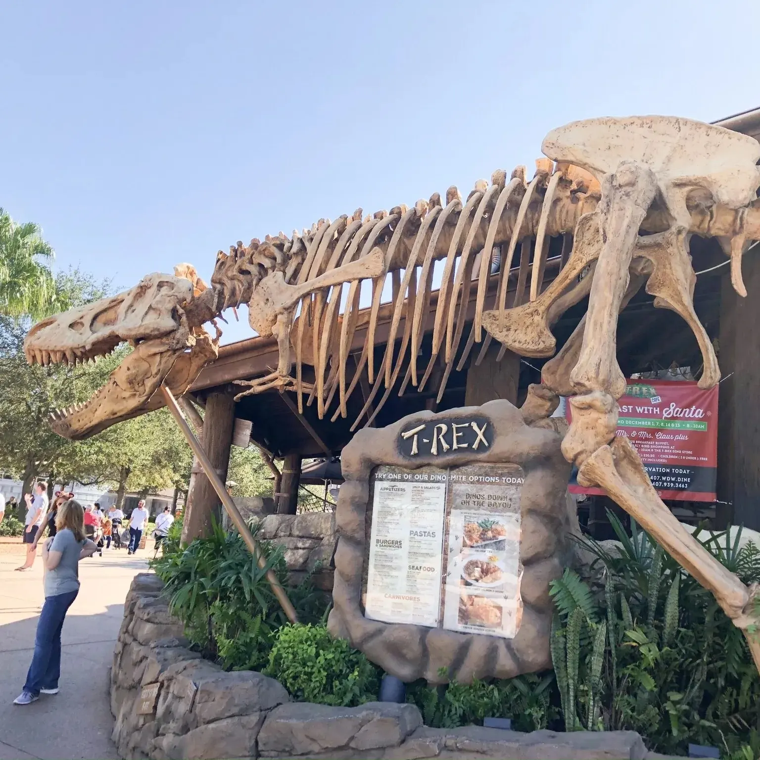 박물관 장비 전문 공룡 유리 섬유 해골 화석