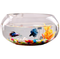Vente en gros de haute qualité petit/mini aquarium circulaire portable en verre rond avec accessoires