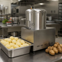 Machine à éplucher les pommes de terre et le taro, corps en acier inoxydable, équipement de pelage centrifuge avec entrée d'eau pour la cuisine
