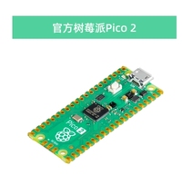 Raspberry Pi Pico 2