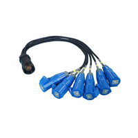 Cordon de dérivation Socapex 19 broches vers connecteurs d'alimentation standard CEE câble d'extension d'alimentation femelle