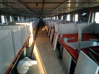 Nouvelles cages de mise bas automatiques complètes de marque PH avec acier Q235 pour la nurserie de porcelets dans une ferme porcine, durée de vie de 20 à 25 ans