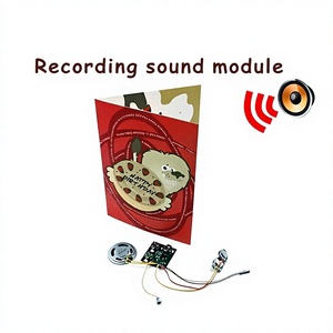 Puce d'enregistrement vocal longue durée, pour enregistrement vocal - Product Image 3