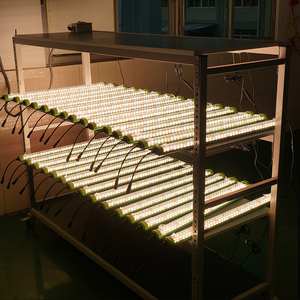 หลอดไฟปลูกต้นไม้อะลูมิเนียม IP65 T8 50W สเปกตรัมเต็ม ประสิทธิภาพสูง สำหรับการเริ่มต้นการเจริญเติบโตของพืชในร่ม การออกดอก และการปลูกพืชแบบไฮโดรโปนิกส์ - Product Image 2