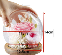 Rose éternelle Irini 2025 sous cloche en verre, fleurs préservées, cadeau romantique pour la Saint-Valentin, la fête des mères, Noël, anniversaires, maison