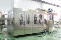 Mini ligne de production automatique intelligente de remplisseuses de liquides d'eau potable en PET pour petites entreprises